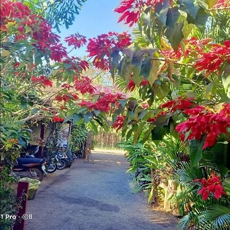 Tribal Village Homestay & Trekking Banlung Ngoại thất bức ảnh