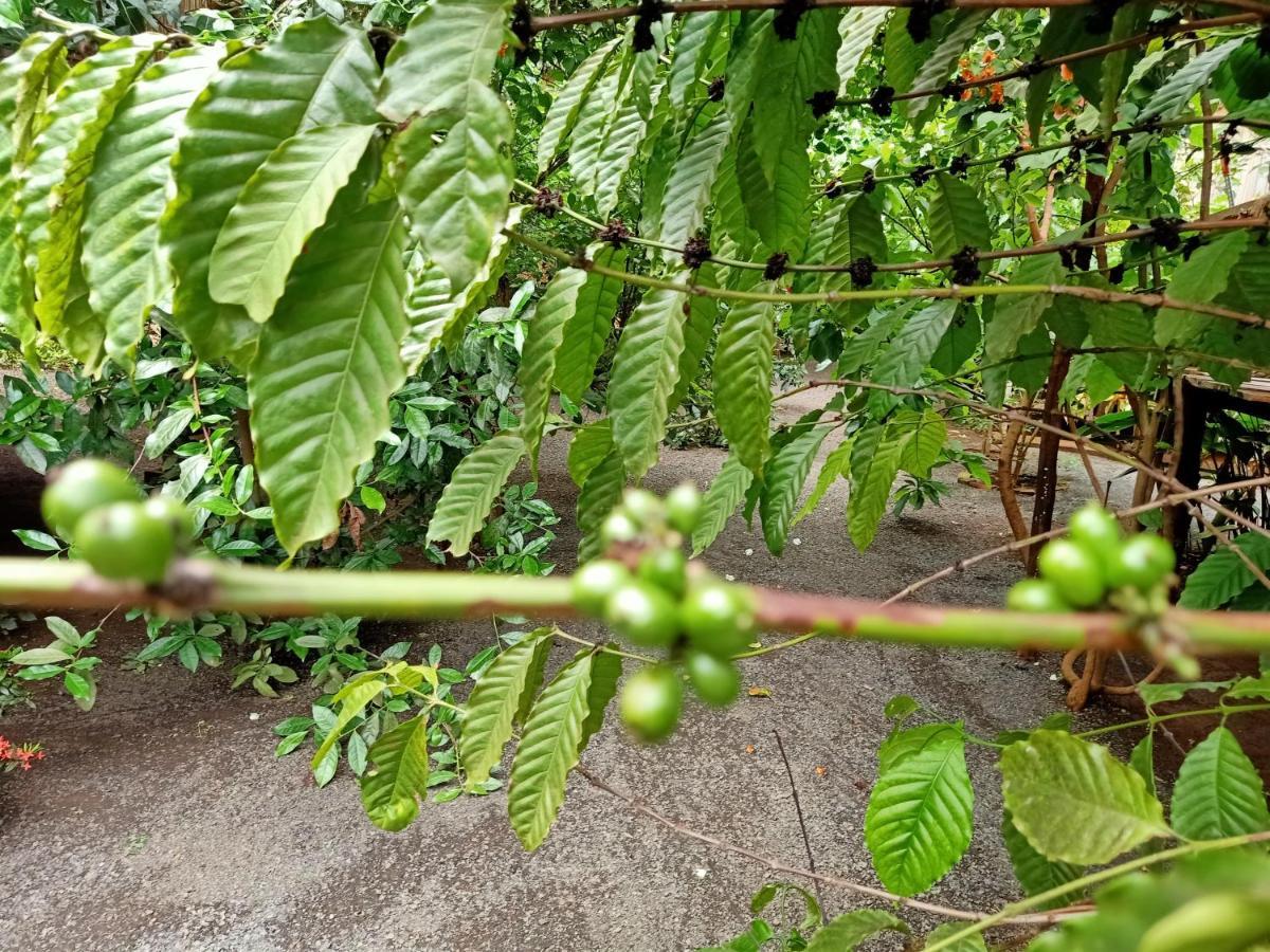 Tribal Village Homestay & Trekking Banlung Ngoại thất bức ảnh