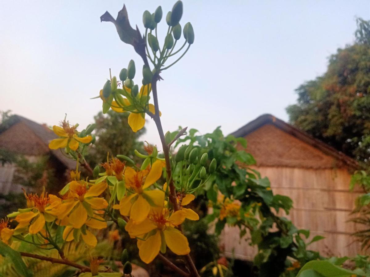 Tribal Village Homestay & Trekking Banlung Ngoại thất bức ảnh