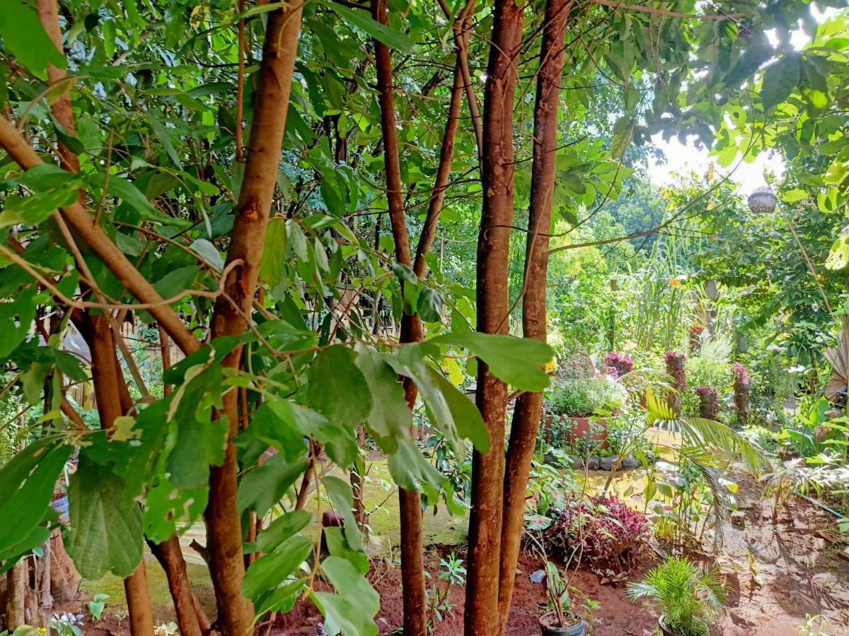 Tribal Village Homestay & Trekking Banlung Ngoại thất bức ảnh
