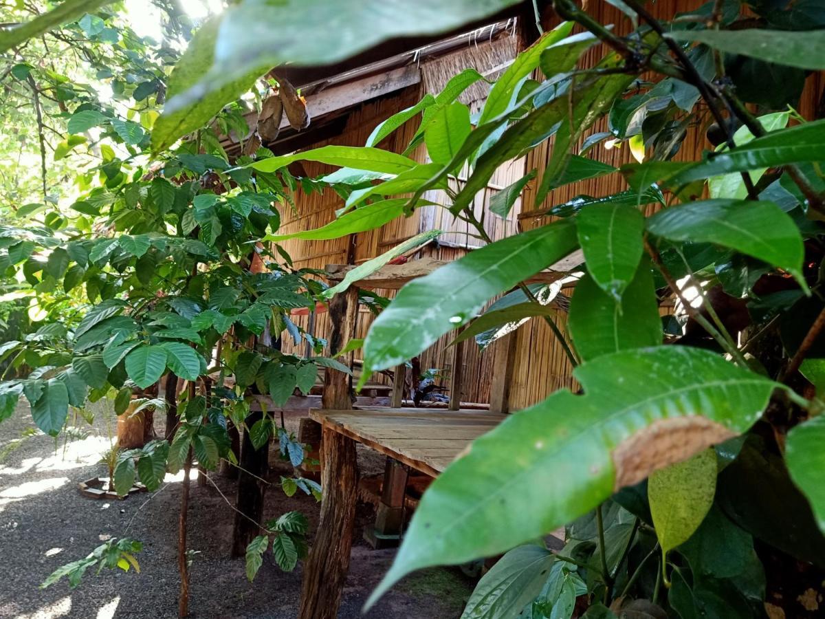 Tribal Village Homestay & Trekking Banlung Ngoại thất bức ảnh