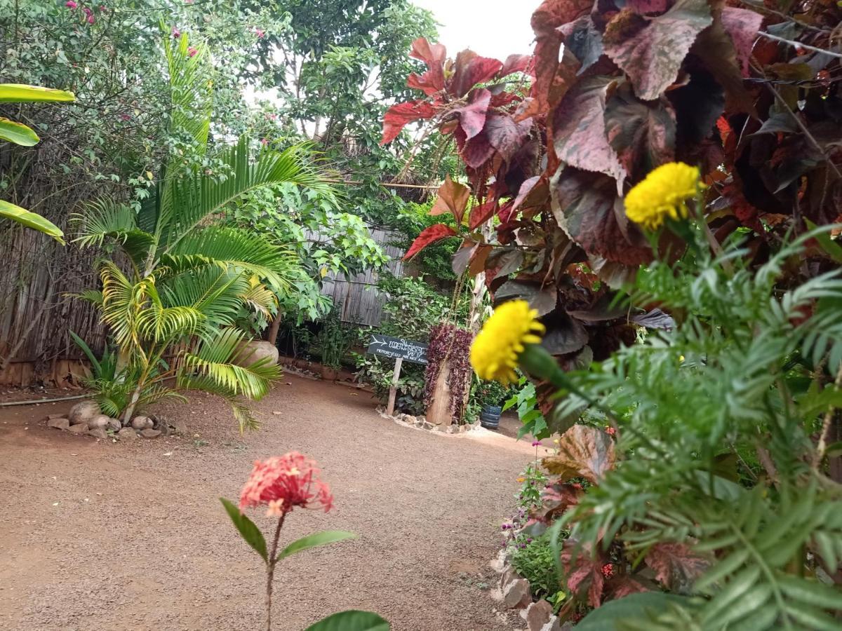 Tribal Village Homestay & Trekking Banlung Ngoại thất bức ảnh