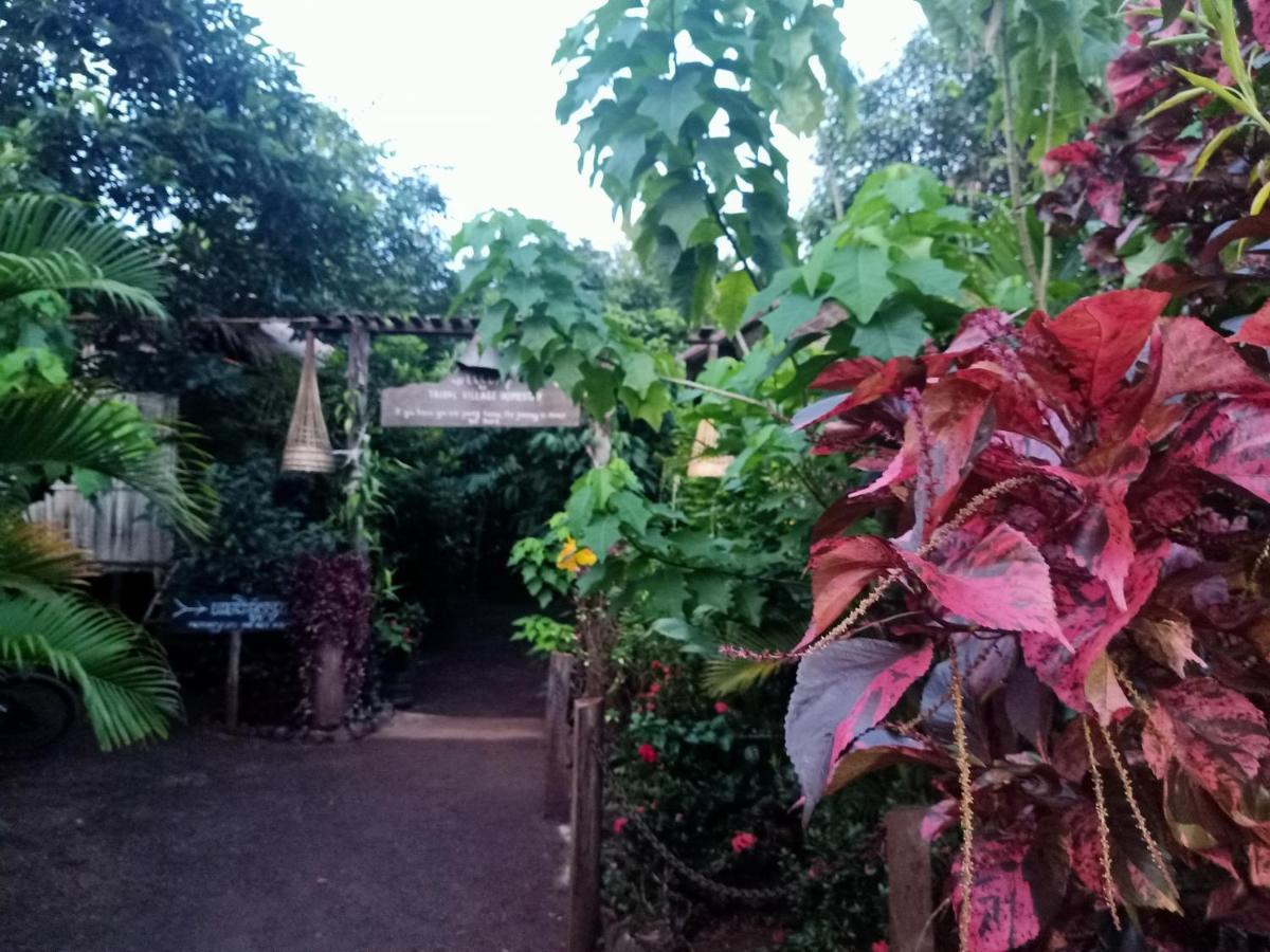 Tribal Village Homestay & Trekking Banlung Ngoại thất bức ảnh