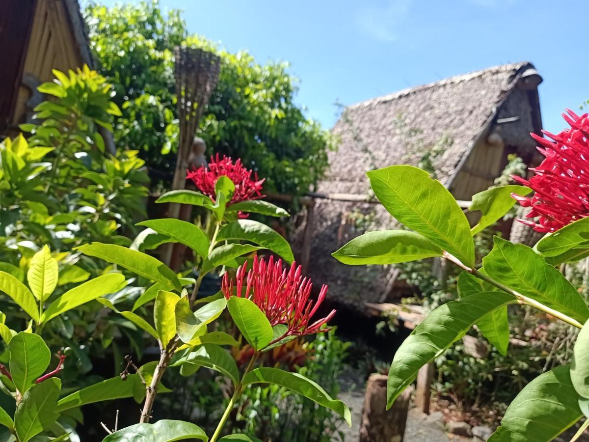 Tribal Village Homestay & Trekking Banlung Ngoại thất bức ảnh