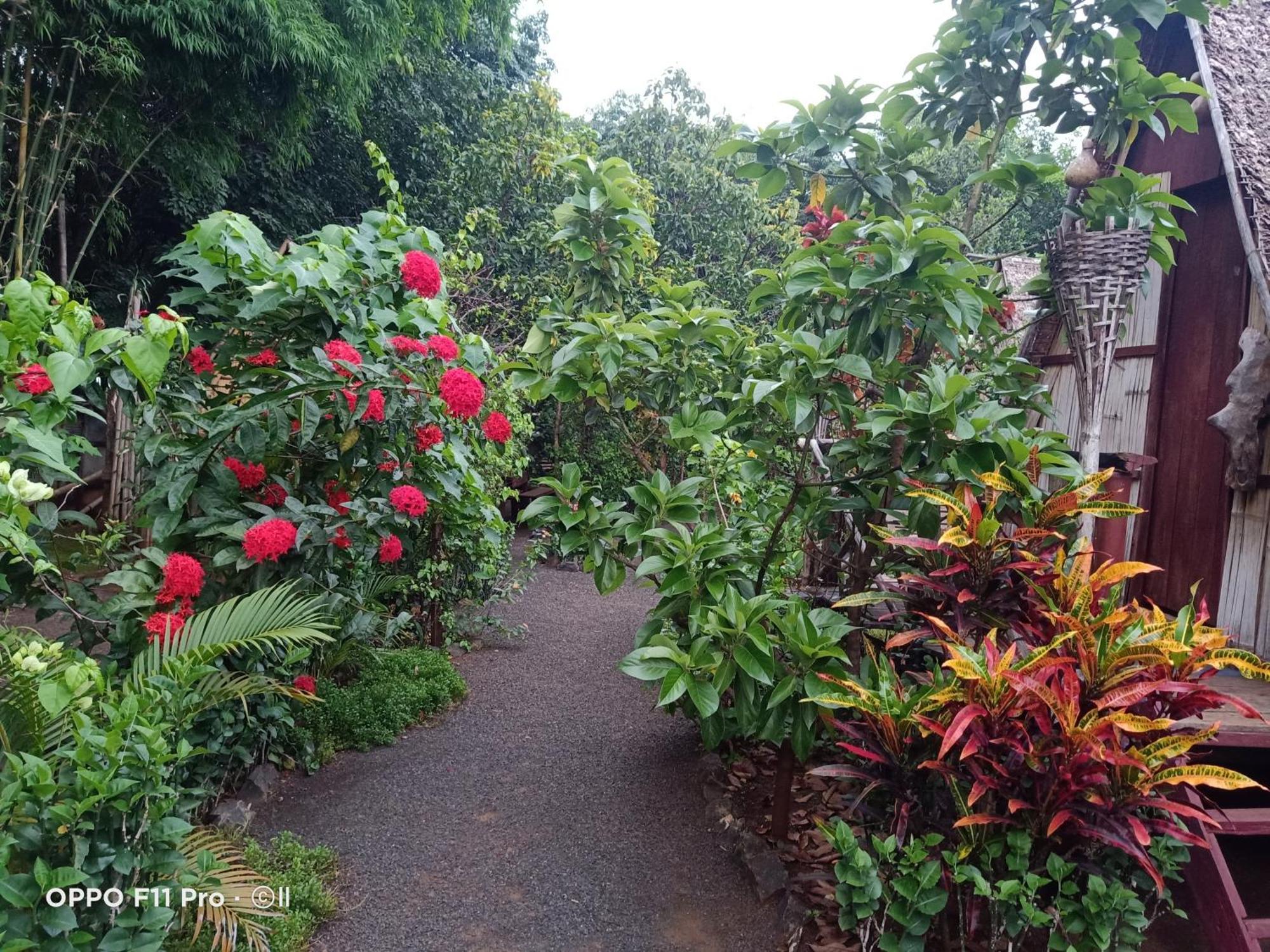 Tribal Village Homestay & Trekking Banlung Ngoại thất bức ảnh