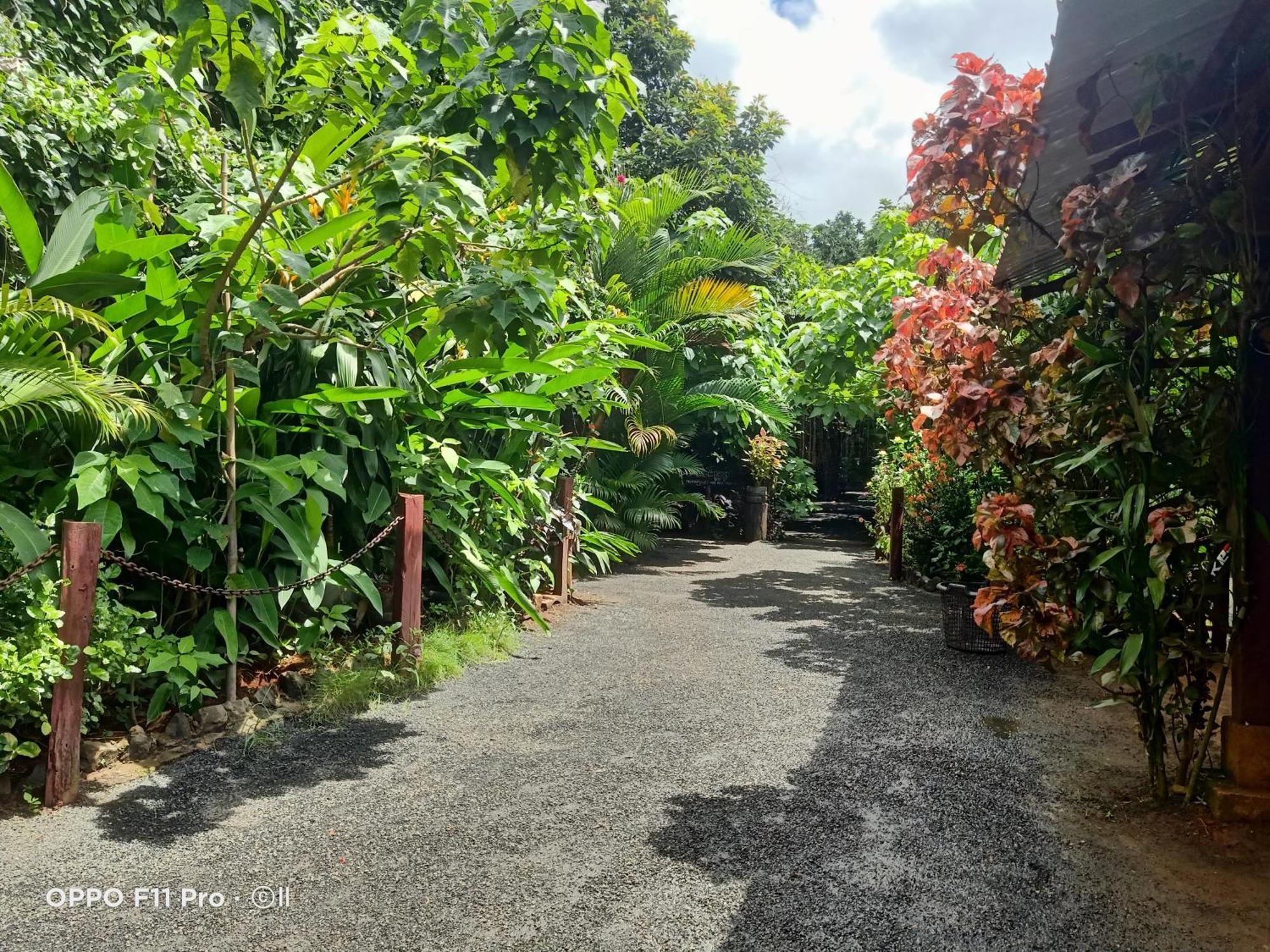 Tribal Village Homestay & Trekking Banlung Ngoại thất bức ảnh