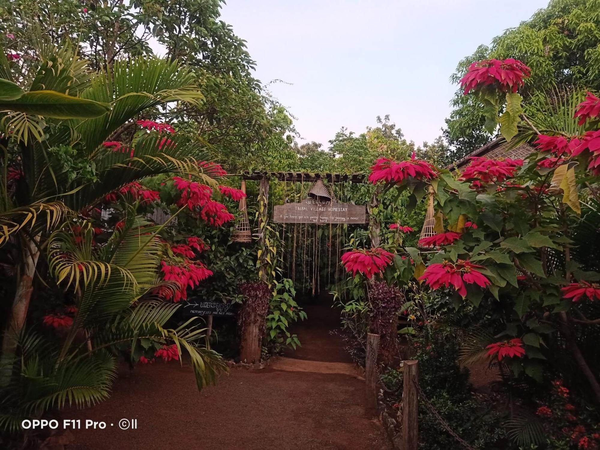 Tribal Village Homestay & Trekking Banlung Phòng bức ảnh